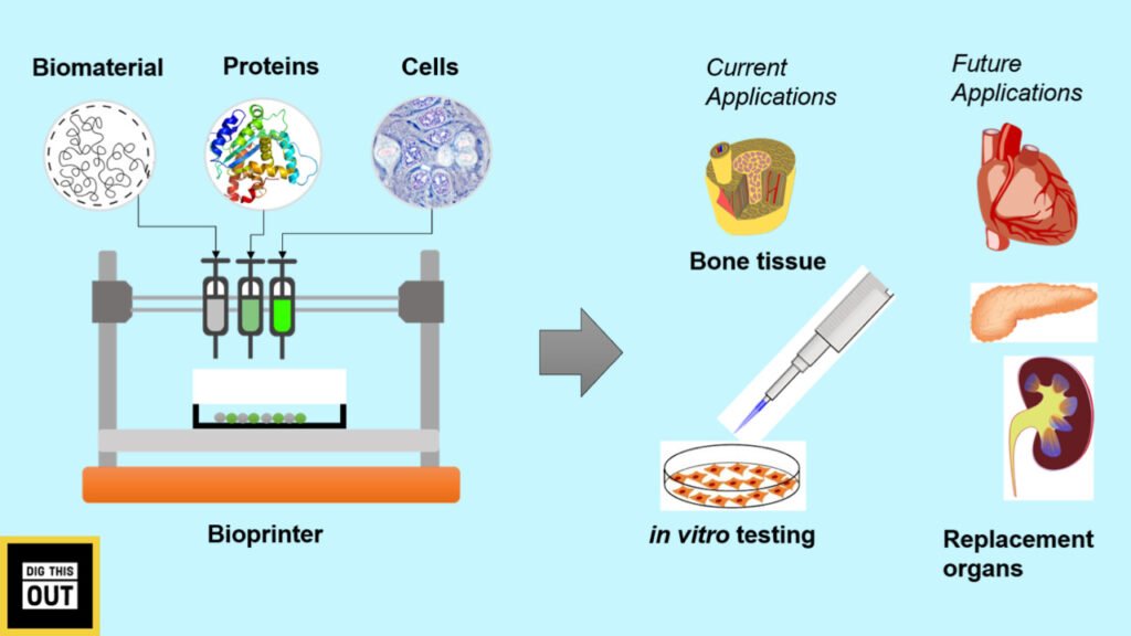 How 3d bioprinting works