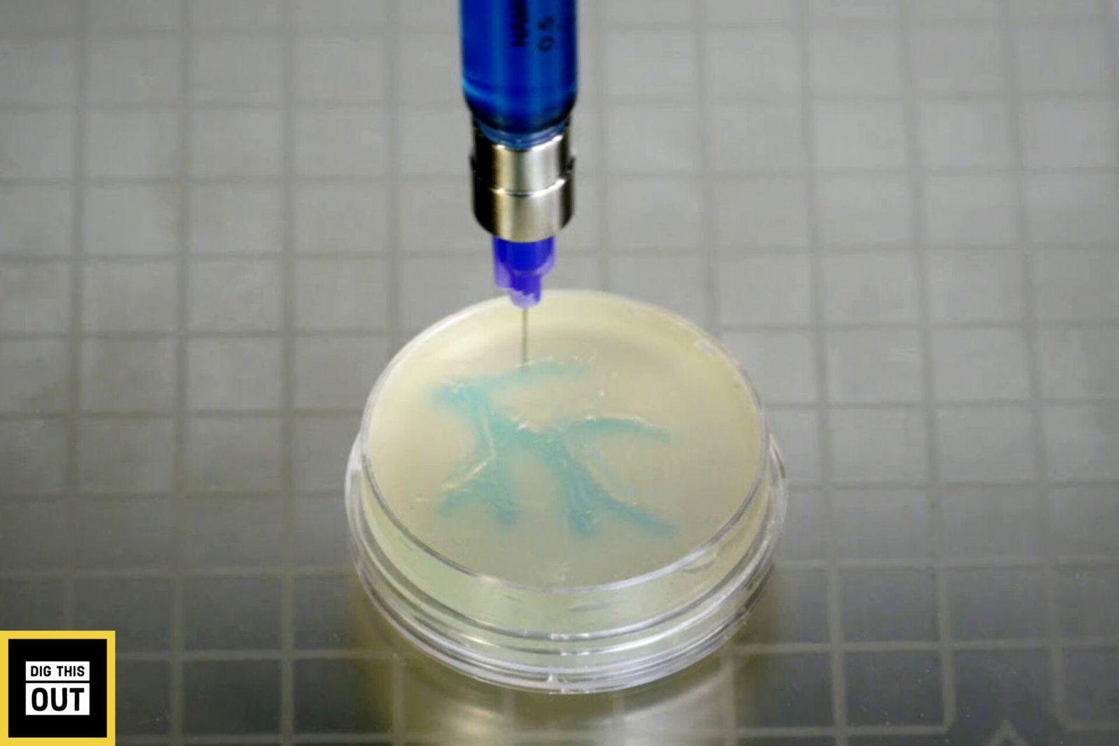 LulzBot Bio 3d Bioprinter
